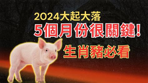 2024 運程 豬